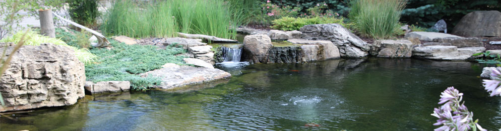 Customized Koi Pond